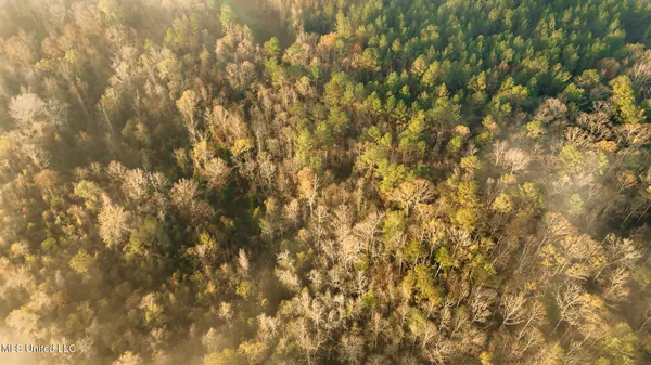 $463,600 | Newton Caney Creek Road, Decatur, MS 39327