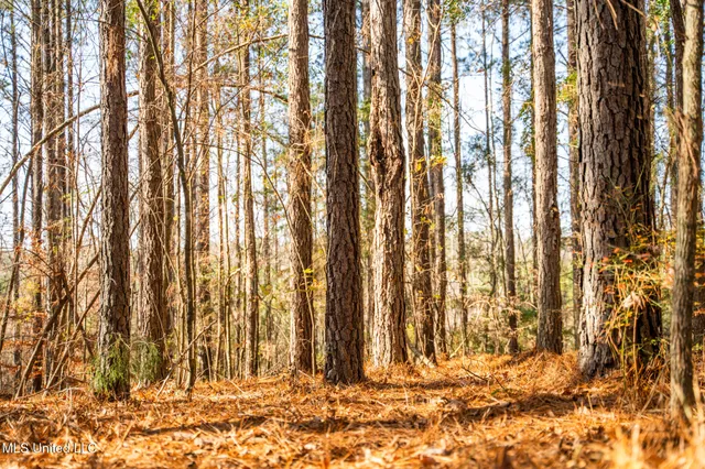 $463,600 | Newton Caney Creek Road, Decatur, MS 39327