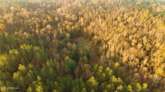 $463,600 | Newton Caney Creek Road, Decatur, MS 39327