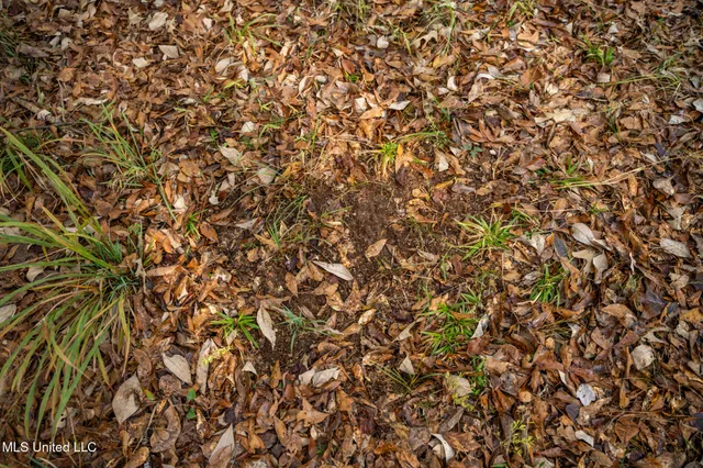 $463,600 | Newton Caney Creek Road, Decatur, MS 39327