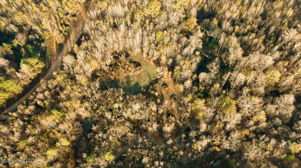 $463,600 | Newton Caney Creek Road, Decatur, MS 39327