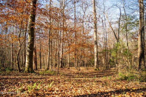 $463,600 | Newton Caney Creek Road, Decatur, MS 39327