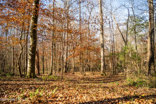 $463,600 | Newton Caney Creek Road, Decatur, MS 39327