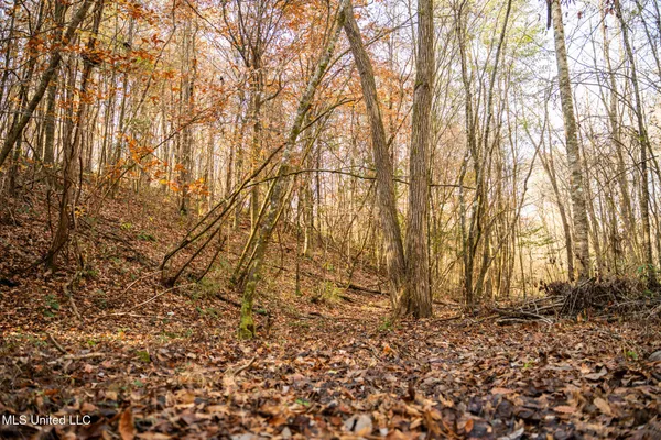 $463,600 | Newton Caney Creek Road, Decatur, MS 39327