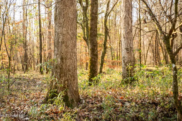 $463,600 | Newton Caney Creek Road, Decatur, MS 39327