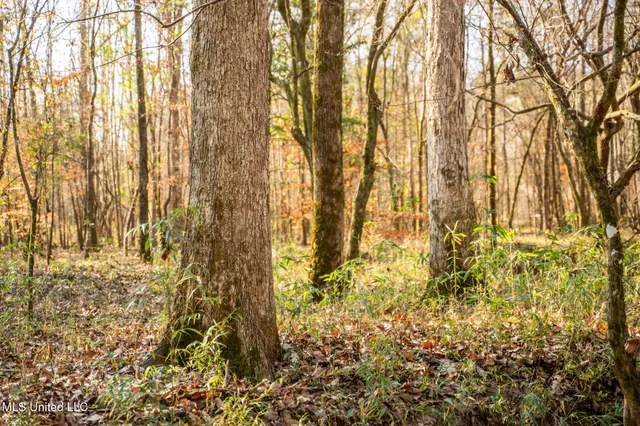 $463,600 | Newton Caney Creek Road, Decatur, MS 39327