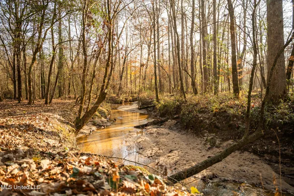 $463,600 | Newton Caney Creek Road, Decatur, MS 39327