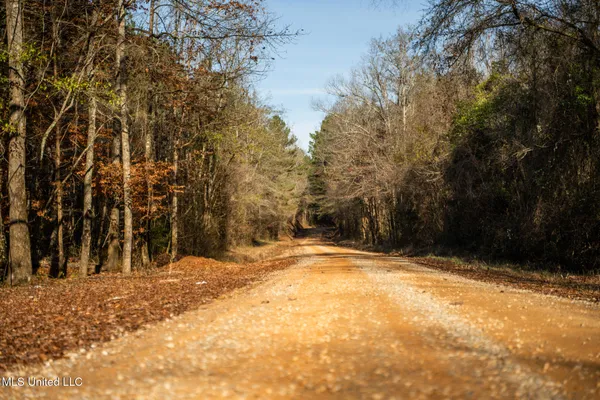 $463,600 | Newton Caney Creek Road, Decatur, MS 39327