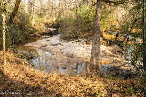 $463,600 | Newton Caney Creek Road, Decatur, MS 39327