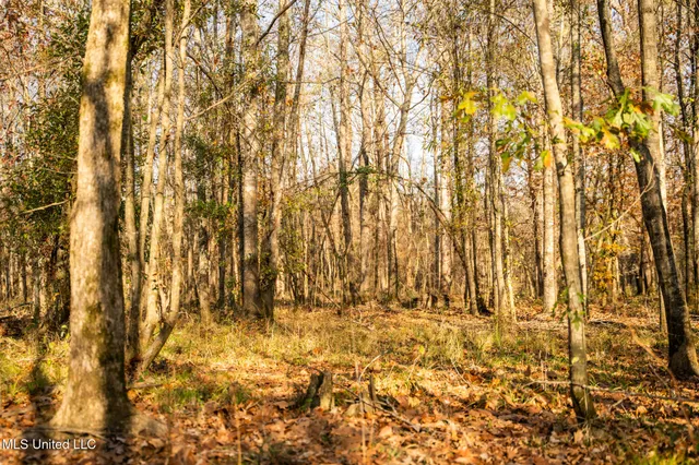 $463,600 | Newton Caney Creek Road, Decatur, MS 39327