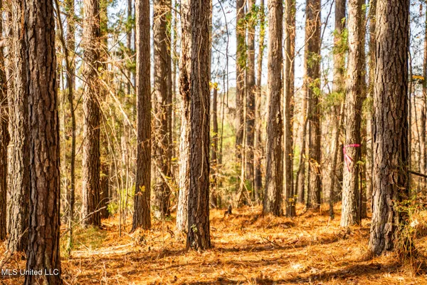 $463,600 | Newton Caney Creek Road, Decatur, MS 39327