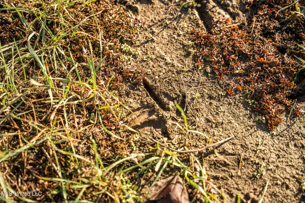 $463,600 | Newton Caney Creek Road, Decatur, MS 39327