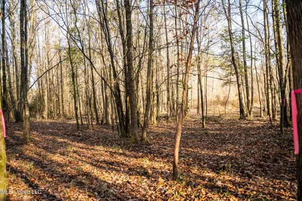 $463,600 | Newton Caney Creek Road, Decatur, MS 39327