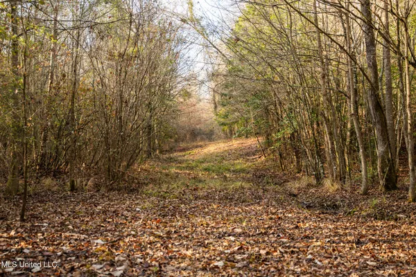 $463,600 | Newton Caney Creek Road, Decatur, MS 39327