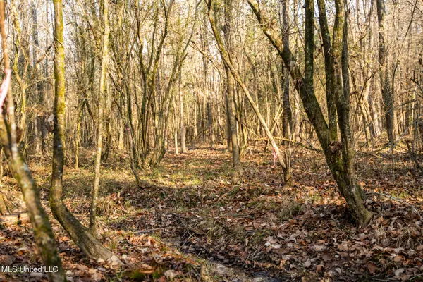 $463,600 | Newton Caney Creek Road, Decatur, MS 39327