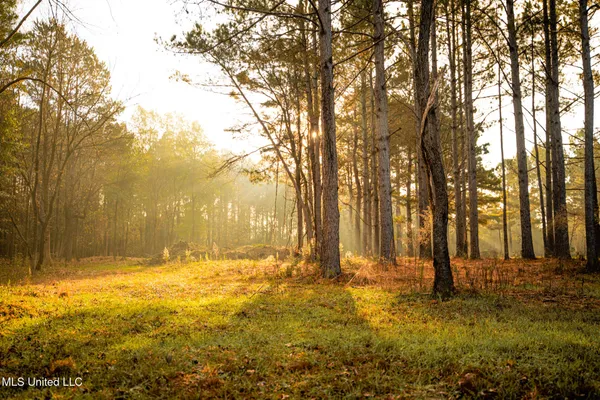 $463,600 | Newton Caney Creek Road, Decatur, MS 39327