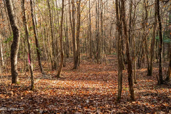 $463,600 | Newton Caney Creek Road, Decatur, MS 39327