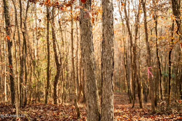 $463,600 | Newton Caney Creek Road, Decatur, MS 39327