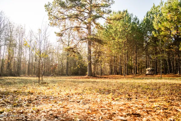 $463,600 | Newton Caney Creek Road, Decatur, MS 39327