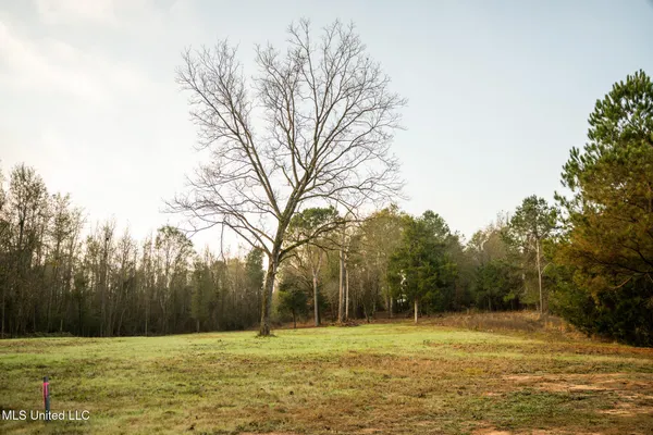 $463,600 | Newton Caney Creek Road, Decatur, MS 39327