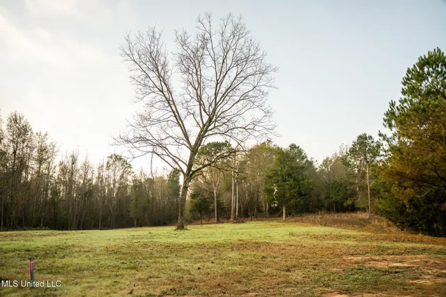 $463,600 | Newton Caney Creek Road, Decatur, MS 39327
