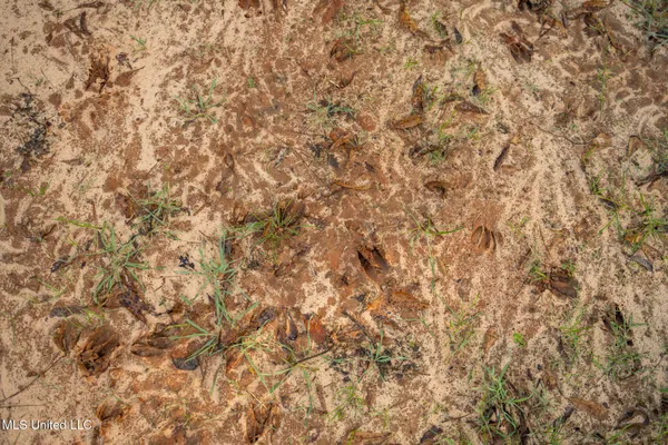 $463,600 | Newton Caney Creek Road, Decatur, MS 39327