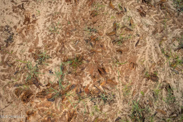 $463,600 | Newton Caney Creek Road, Decatur, MS 39327