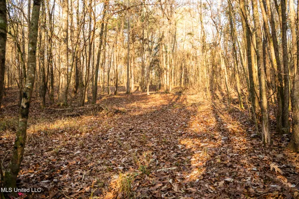 $463,600 | Newton Caney Creek Road, Decatur, MS 39327