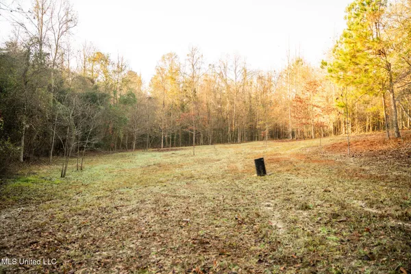 $463,600 | Newton Caney Creek Road, Decatur, MS 39327