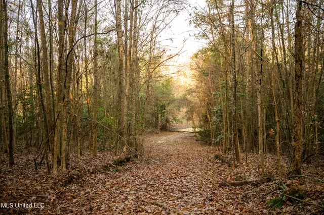 $463,600 | Newton Caney Creek Road, Decatur, MS 39327