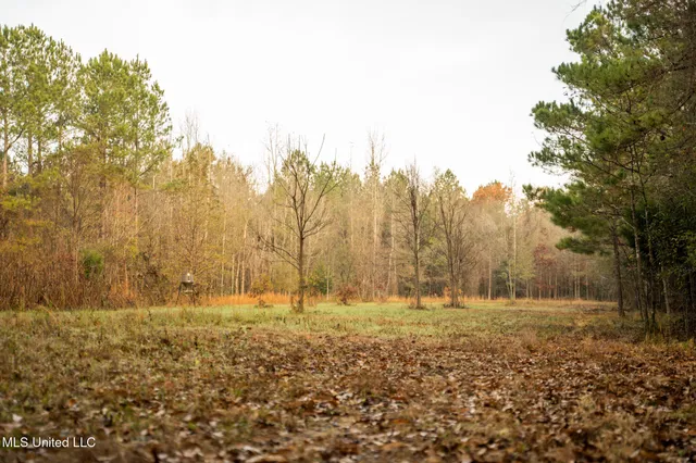 $463,600 | Newton Caney Creek Road, Decatur, MS 39327