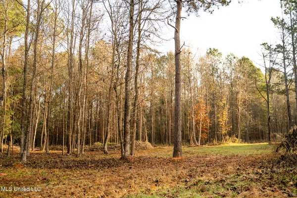 $463,600 | Newton Caney Creek Road, Decatur, MS 39327