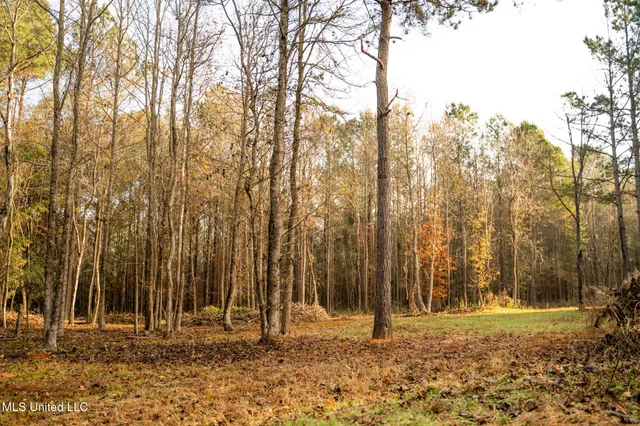 $463,600 | Newton Caney Creek Road, Decatur, MS 39327