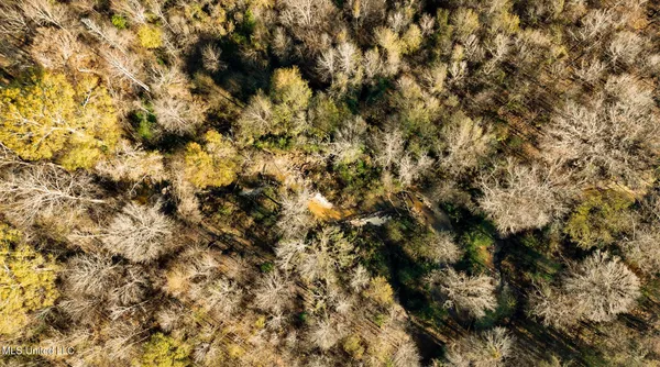 $463,600 | Newton Caney Creek Road, Decatur, MS 39327