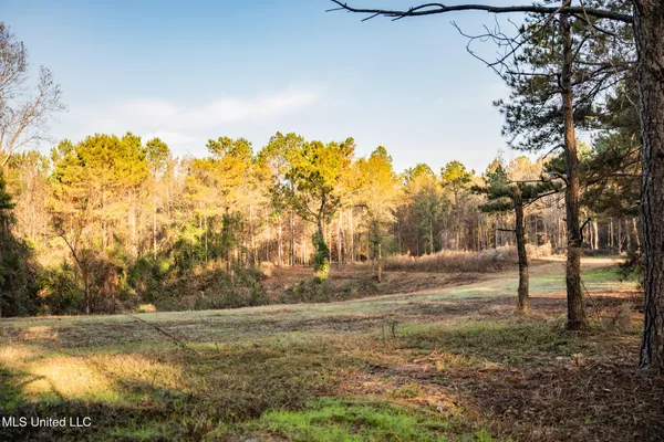 $463,600 | Newton Caney Creek Road, Decatur, MS 39327