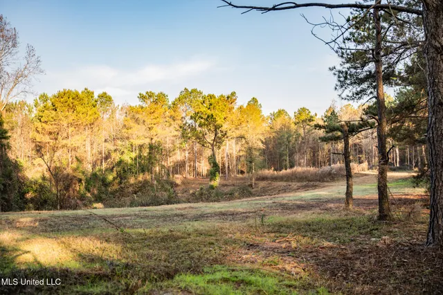 $463,600 | Newton Caney Creek Road, Decatur, MS 39327