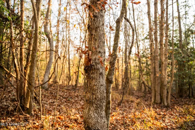 $463,600 | Newton Caney Creek Road, Decatur, MS 39327