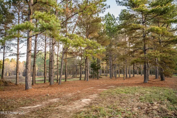 $463,600 | Newton Caney Creek Road, Decatur, MS 39327