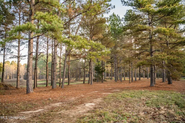 $463,600 | Newton Caney Creek Road, Decatur, MS 39327