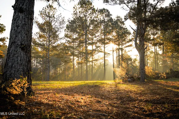 $463,600 | Newton Caney Creek Road, Decatur, MS 39327