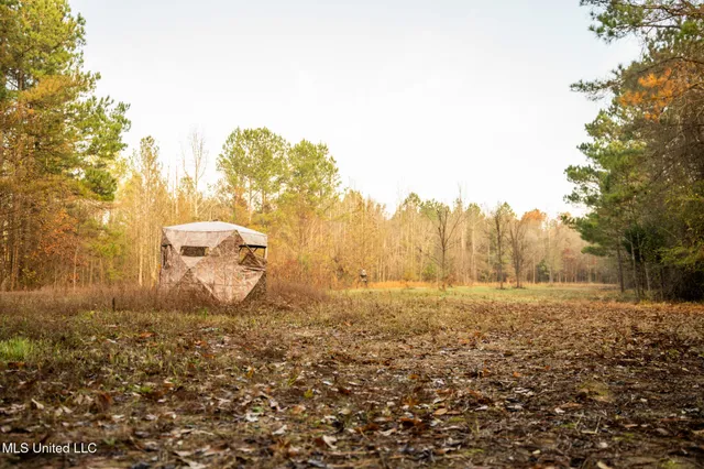 $463,600 | Newton Caney Creek Road, Decatur, MS 39327