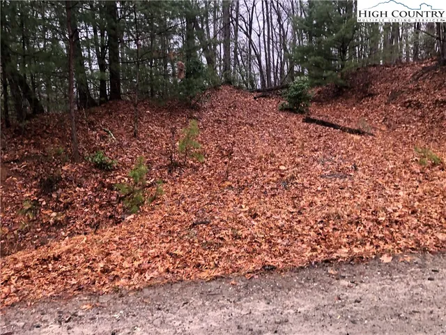 $27,500 | Lot 105 Pepper Bush Road, Purlear, NC 28665