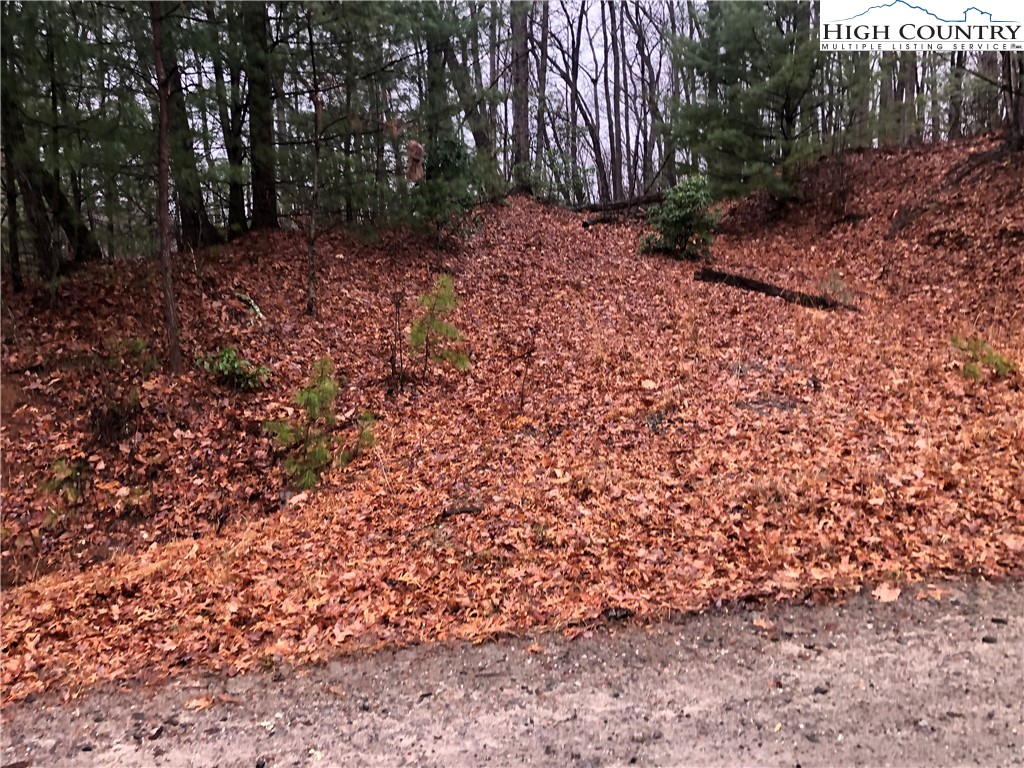Lot 105 Pepper Bush Road Purlear, NC 28665 - Photo 3 of 37 a view of a yard with plants and trees