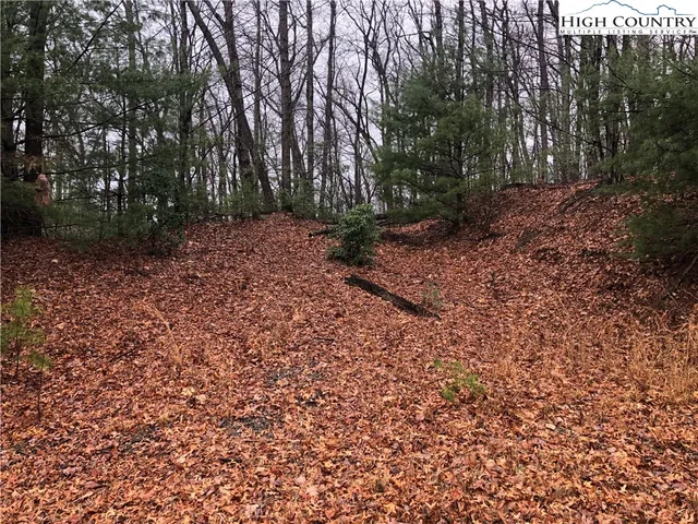 $27,500 | Lot 105 Pepper Bush Road, Purlear, NC 28665