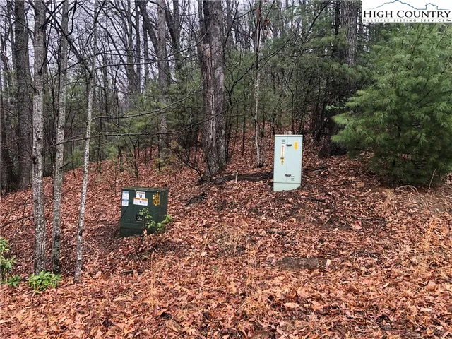 $27,500 | Lot 105 Pepper Bush Road, Purlear, NC 28665