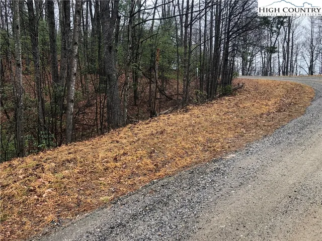 $27,500 | Lot 105 Pepper Bush Road, Purlear, NC 28665