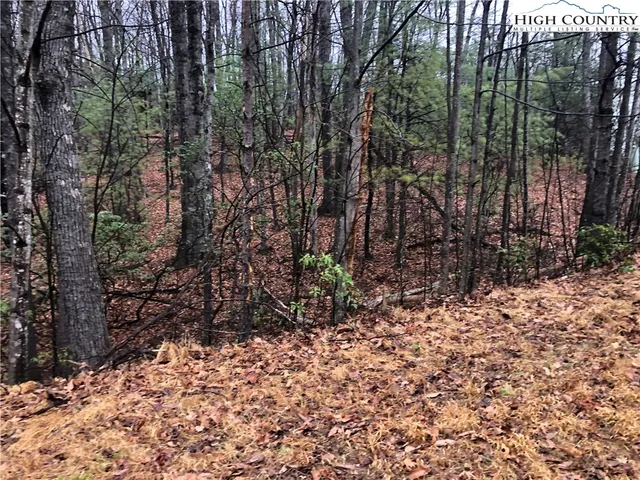 $27,500 | Lot 105 Pepper Bush Road, Purlear, NC 28665