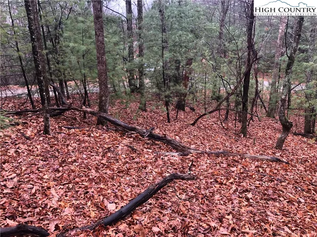 $27,500 | Lot 105 Pepper Bush Road, Purlear, NC 28665