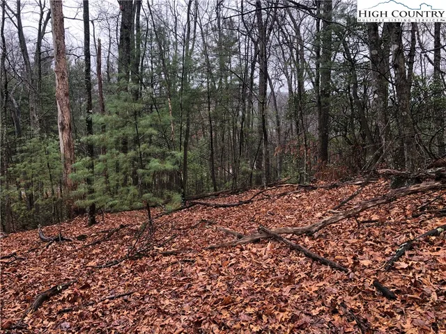 $27,500 | Lot 105 Pepper Bush Road, Purlear, NC 28665