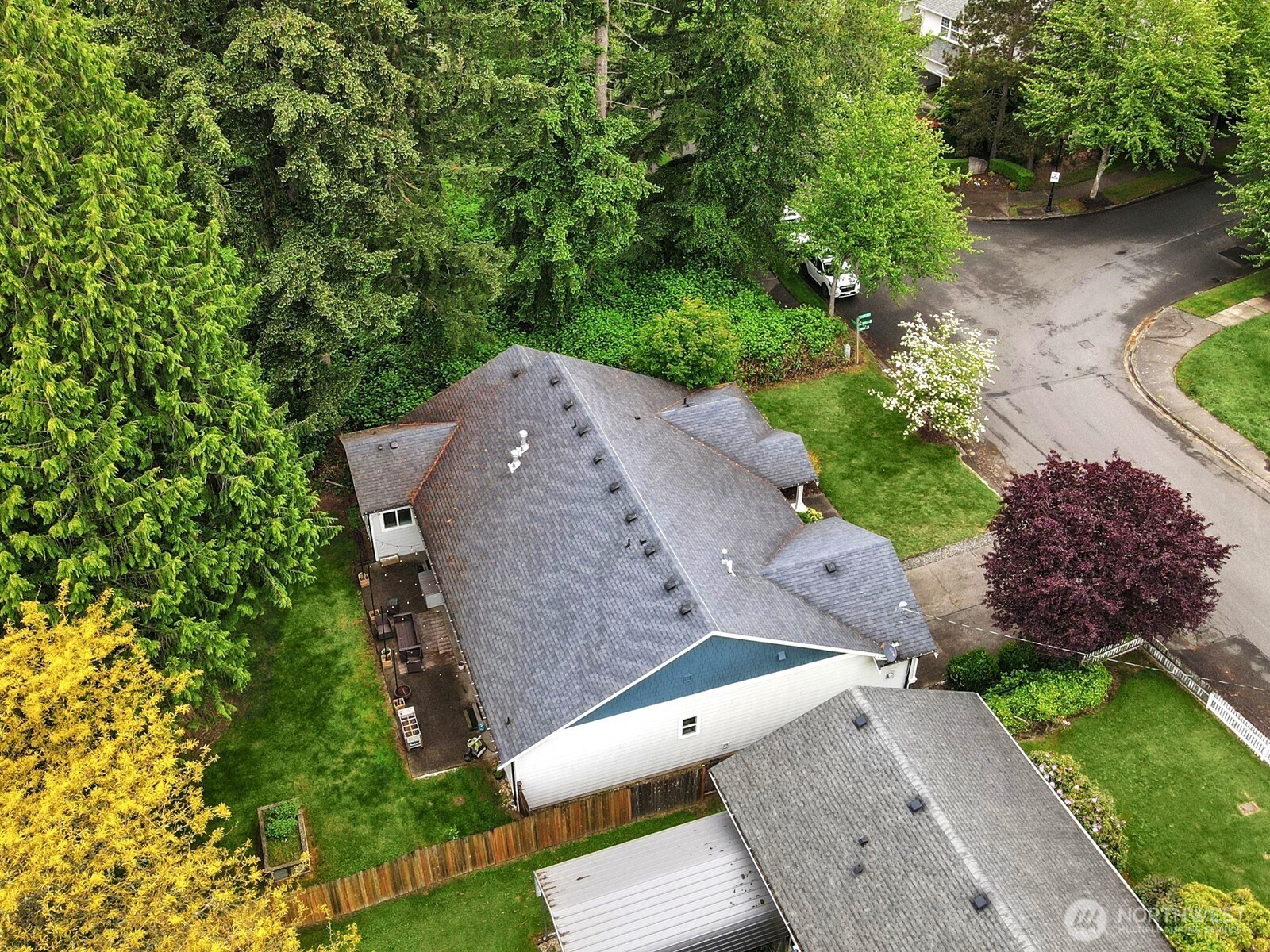 12503 Southeast 104th Street Renton, WA 98056 - Photo 36 of 37 an aerial view of a house with a yard and a large tree